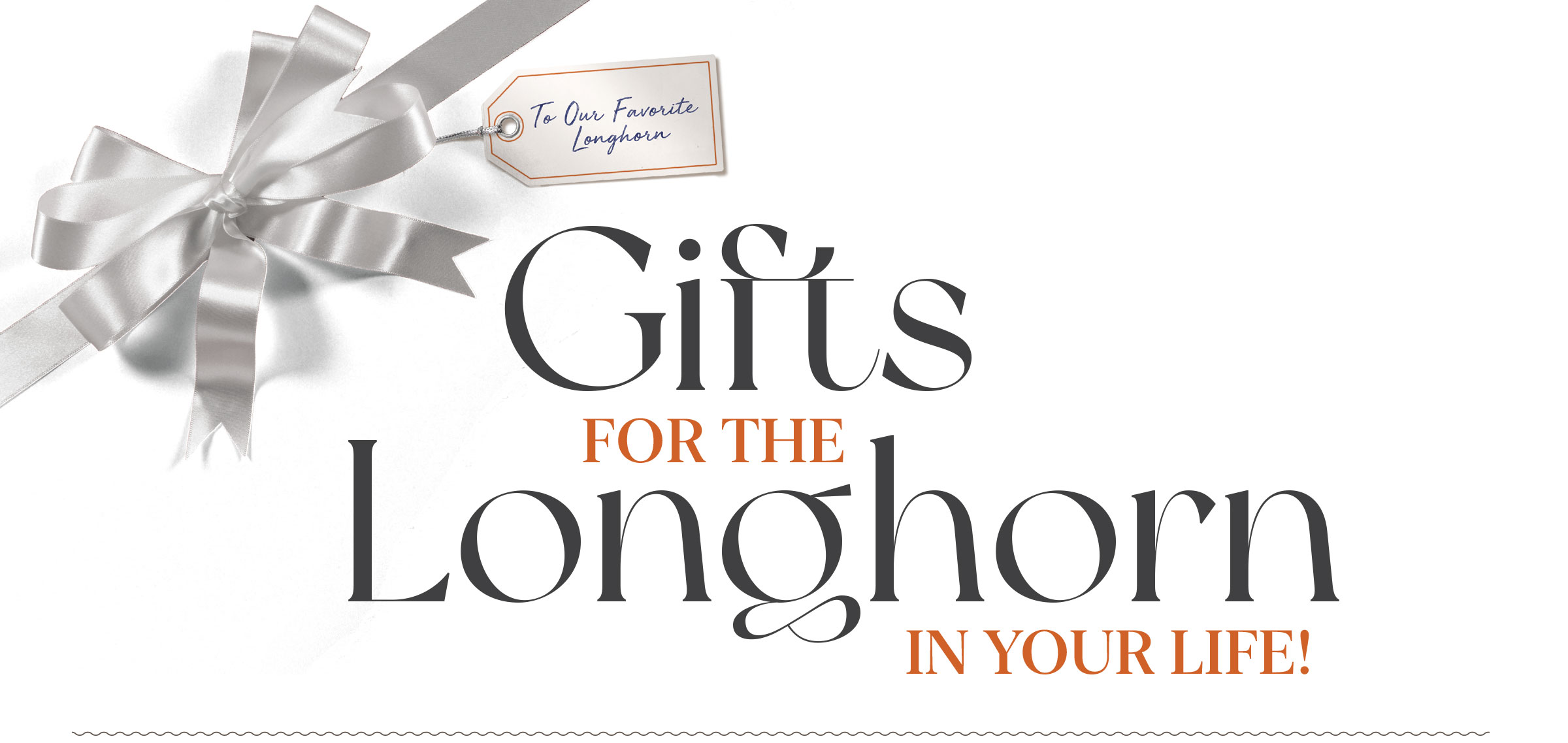 Gifts for the Longhorn in Your Life